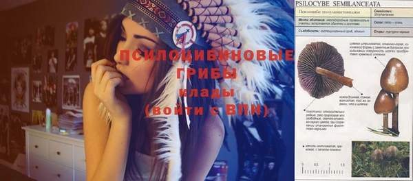 МДМА Инсар