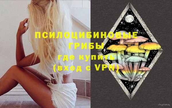 а пвп мука Инта