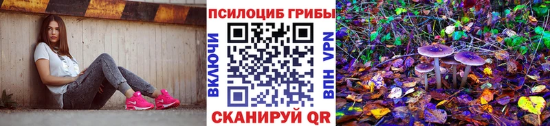 Псилоцибиновые грибы Magic Shrooms  Игра 